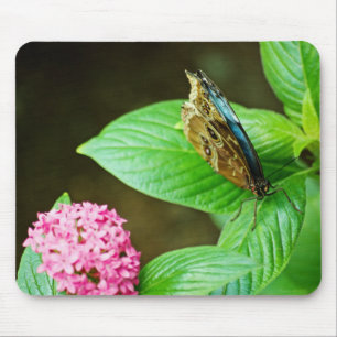 Blue Morpho 143 Mousepad Musmatta