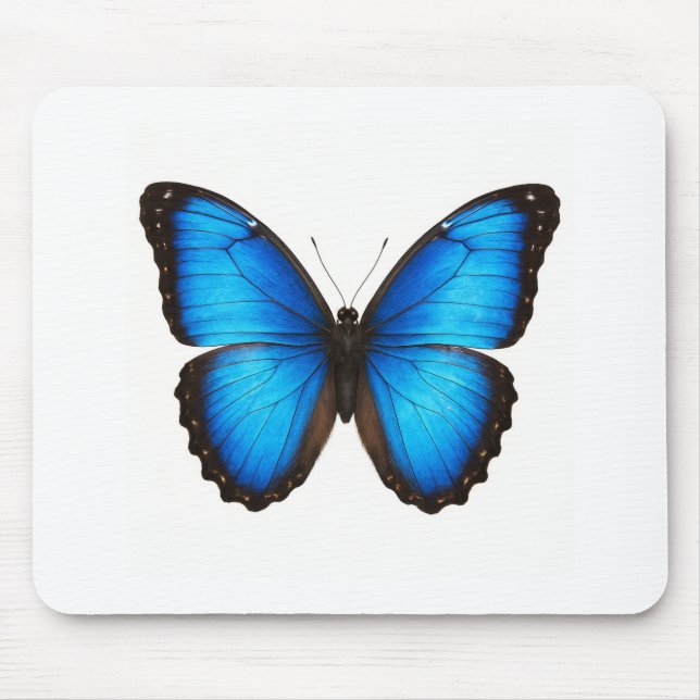 Blue Morpho Brilliance Musmatta (Framsidan)