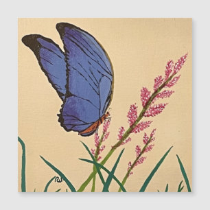 Blue Morpho Butterfly