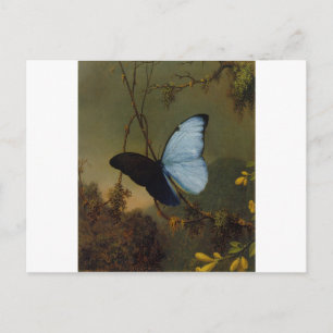 Blue Morpho Butterfly 1865 Vår personalize Art Vykort