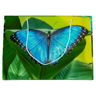 Blue Morpho Butterfly Blommigt Nature Art