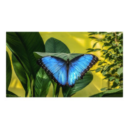 Blue Morpho Butterfly Blommigt Nature Art Fototryck