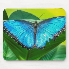 Blue Morpho Butterfly Blommigt Nature Art Musmatta