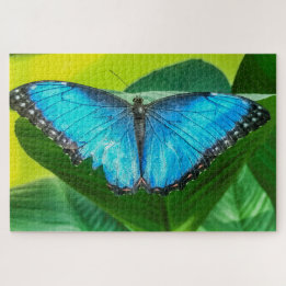 Blue Morpho Butterfly Blommigt Nature Art Pussel