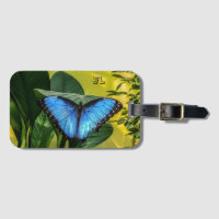 Blue Morpho Butterfly Blommigt Nature Namn