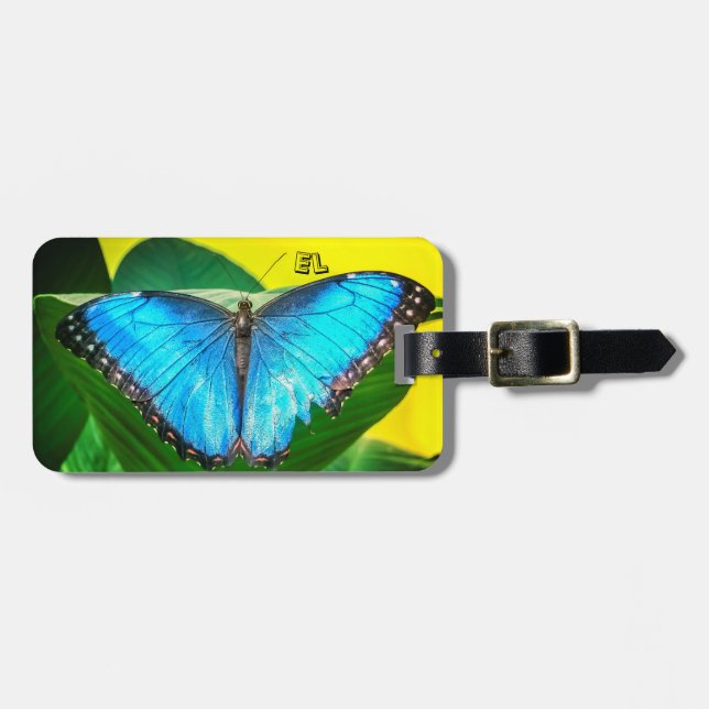 Blue Morpho Butterfly Blommigt Nature Namn Bagagebricka (Horisontell Framsida)