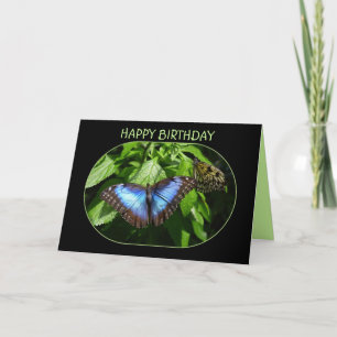Blue Morpho Butterfly Grattis på födelsedagen Kort