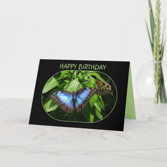 Blue Morpho Butterfly Grattis på födelsedagen Kort (Framsida)