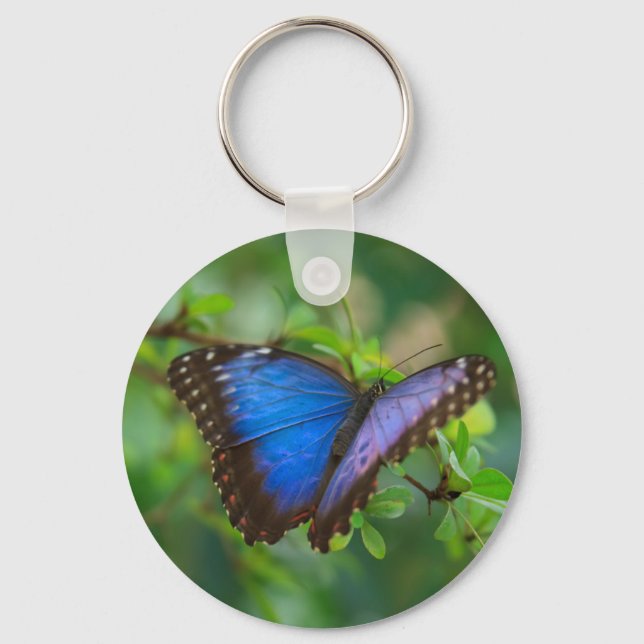Blue Morpho Butterfly Keychain Nyckelring (Framsida)