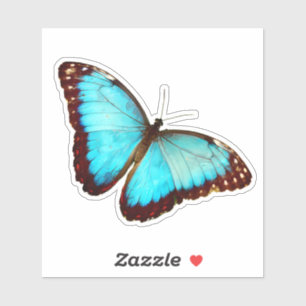 Blue Morpho Butterfly Klistermärken