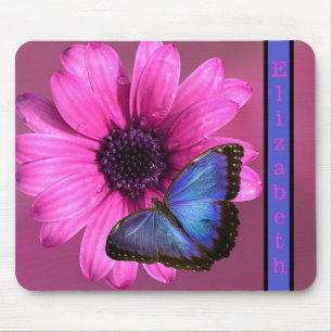 Blue Morpho Butterfly och Daisy Musmatta