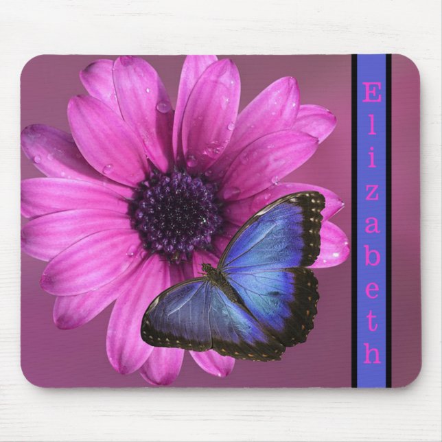 Blue Morpho Butterfly och Daisy Musmatta (Framsidan)
