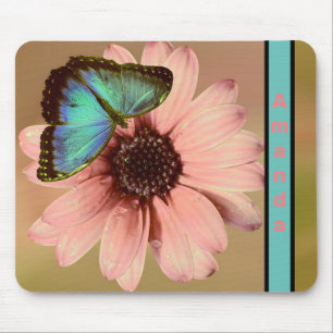 Blue Morpho Butterfly och Daisy Musmatta