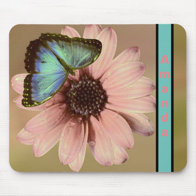 Blue Morpho Butterfly och Daisy Musmatta (Framsidan)