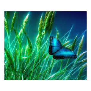Blue Morpho Butterfly på Grönt Grass Fototryck