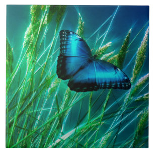 Blue Morpho Butterfly på Grönt Grass Kakelplatta