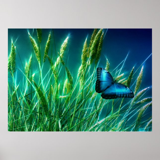 Blue Morpho Butterfly på Grönt Grass Poster (Framsidan)