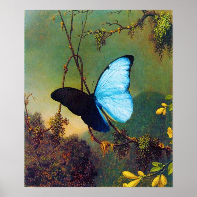 Blue Morpho Butterfly Poster (Framsidan)