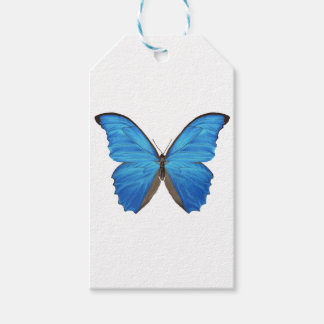 Blue Morpho Butterfly Presentetikett