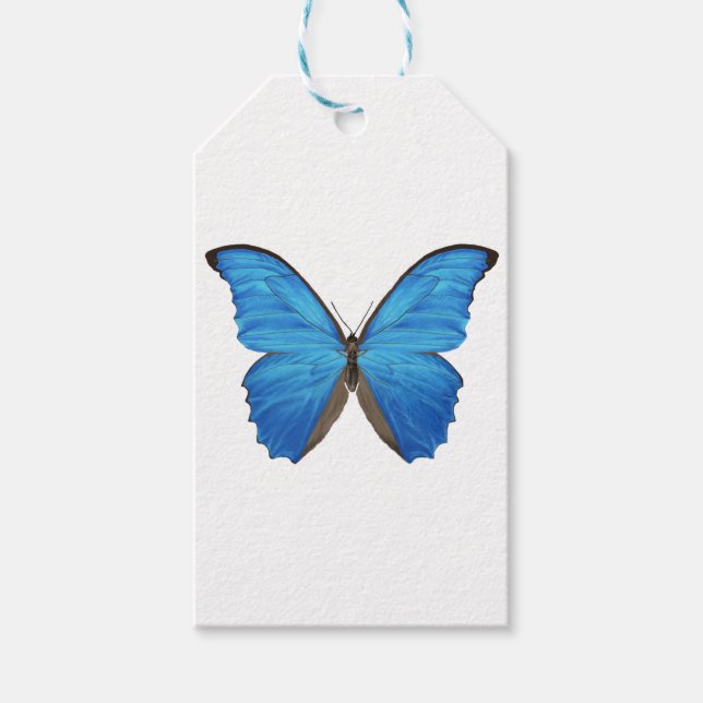 Blue Morpho Butterfly Presentetikett (Framsidan)
