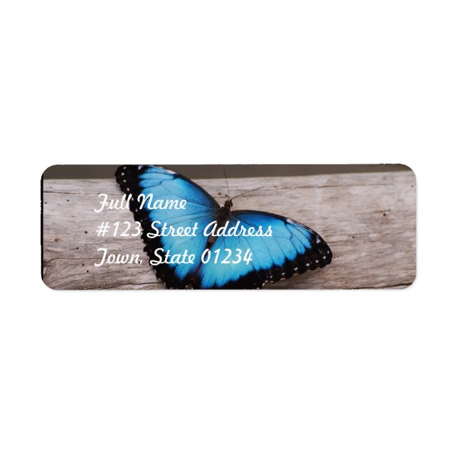 Blue Morpho Butterfly Returadress Etikett (Framsidan)