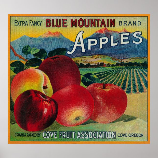 Blue Mountain Apple Låda LabelCove, ELLER Poster (Framsidan)