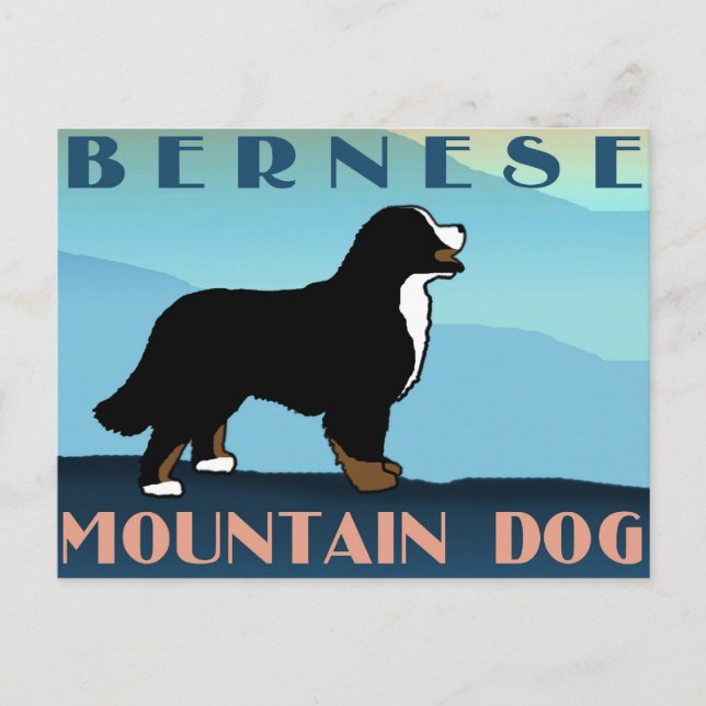 Blue Mountain Bernese Hund Vykort (Framsida)