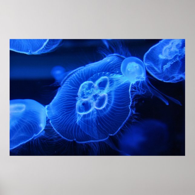 Blue Neon Jellyfish Poster (Framsidan)