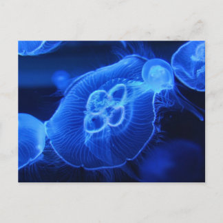 Blue Neon Jellyfish Vykort