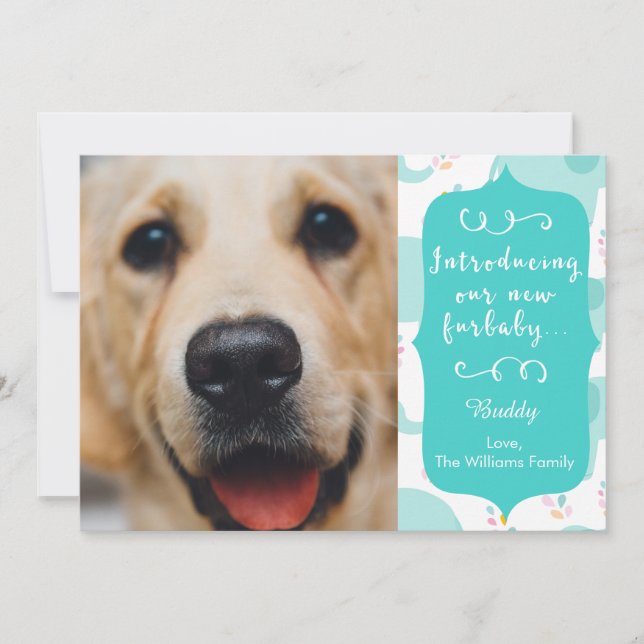 Blue New Furbaby-meddelande Meddelande (Framsida)