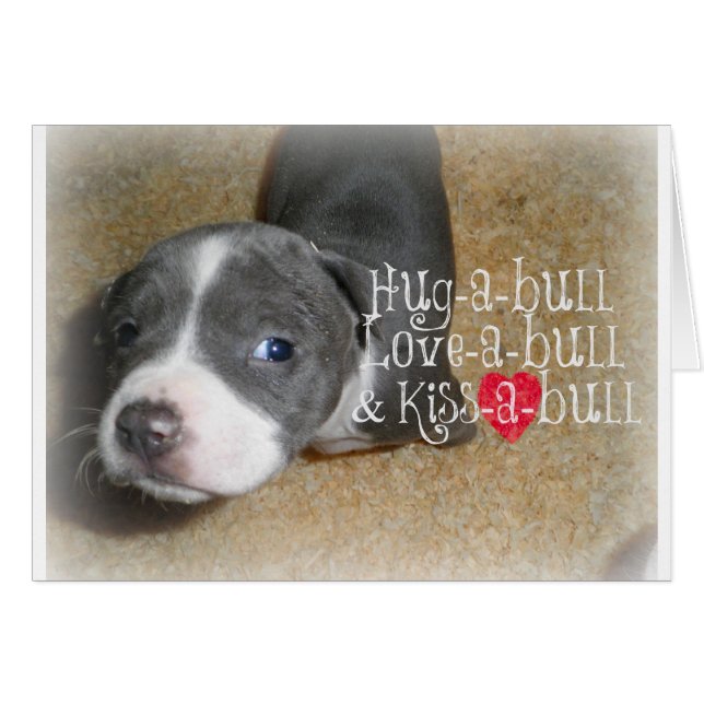 Blue Nose Hugs Hälsningskort (Framsidan Horizontal)