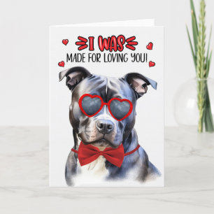 Blue Nose Pit Bull Dog Loving You Valentine Helgkort