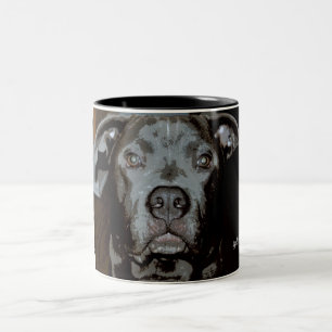 Blue Nose Pit Bull Terrier Mugg