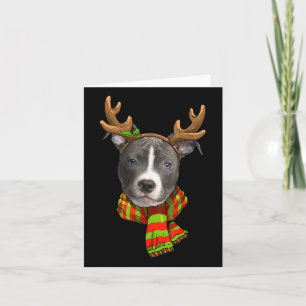 Blue Nose Pitbull Julrenren Pet Hund älskare Kort