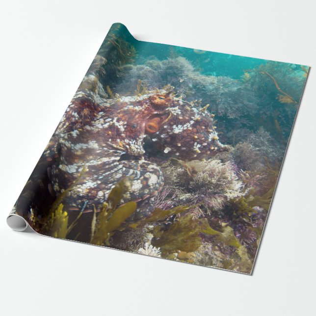 Blue ocean coral octopus wrapping paper presentpapper (Utrullad)
