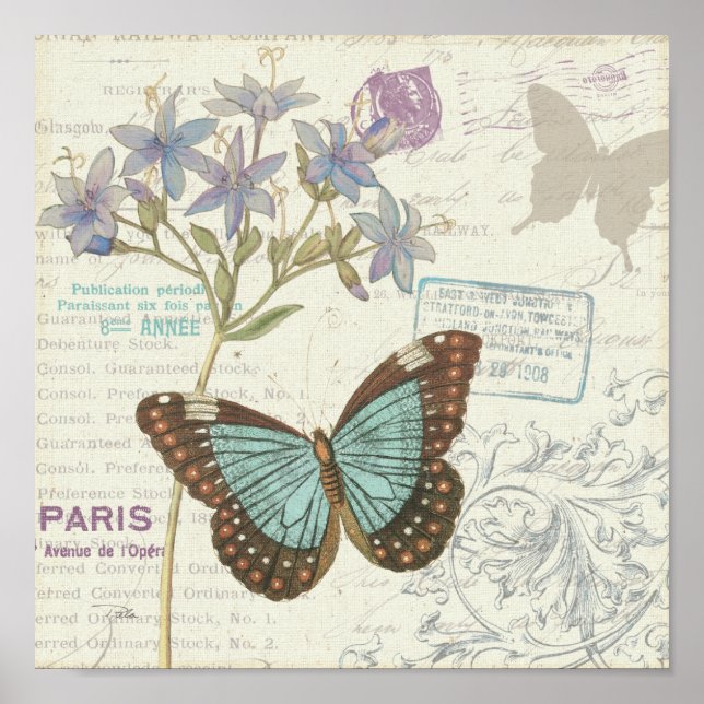 Blue och Brown Butterfly Poster (Framsidan)