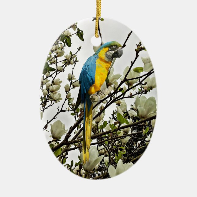 Blue och Guld Macaw Julgransprydnad Keramik (Framsidan)