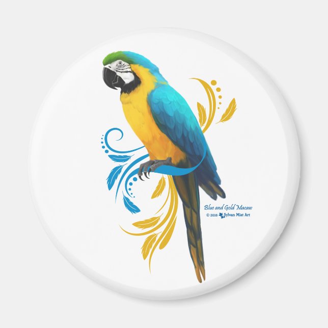 Blue och Guld Macaw Magnet (Framsidan)