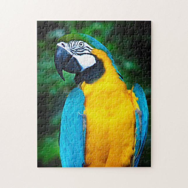 Blue och Guld Macaw Puzzle Pussel (Vertikal)