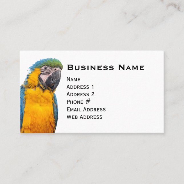 Blue och Guld Macaw Visitkort (Framsida)