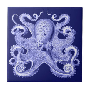 Blue Octopus Nautical Beach House Coastal Haeckel Kakelplatta