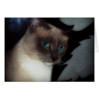 BLUE ÖGA BELLA HÄLSNINGSKORT