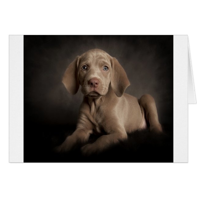 Blue öga hälsningskort (Framsidan Horizontal)