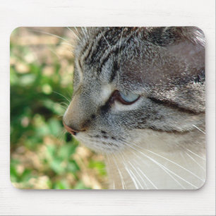 Blue Öga Kattunge Musmatta