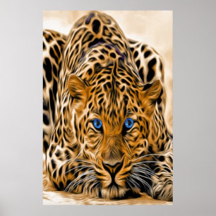 Blue Öga Leopard Poster