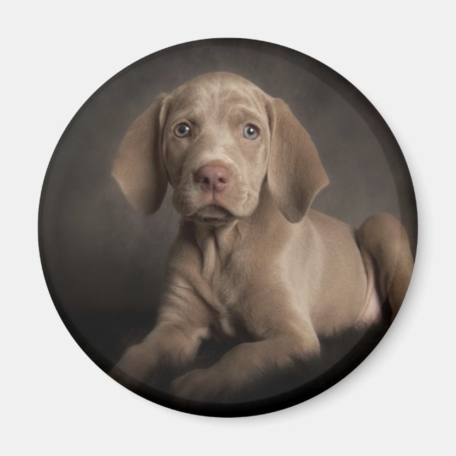 Blue öga magnet (Framsidan)