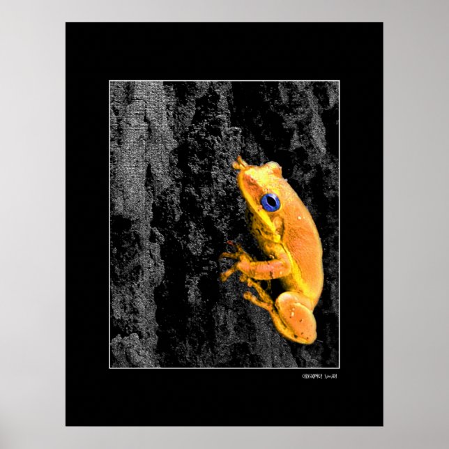 Blue Öga Poster (Framsidan)