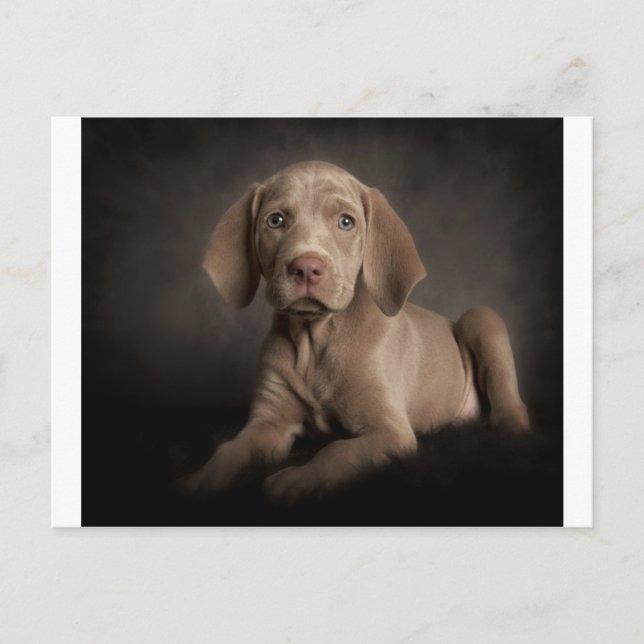 Blue ögon vykort (Framsida)