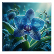 Blue Orchid-Blommigt