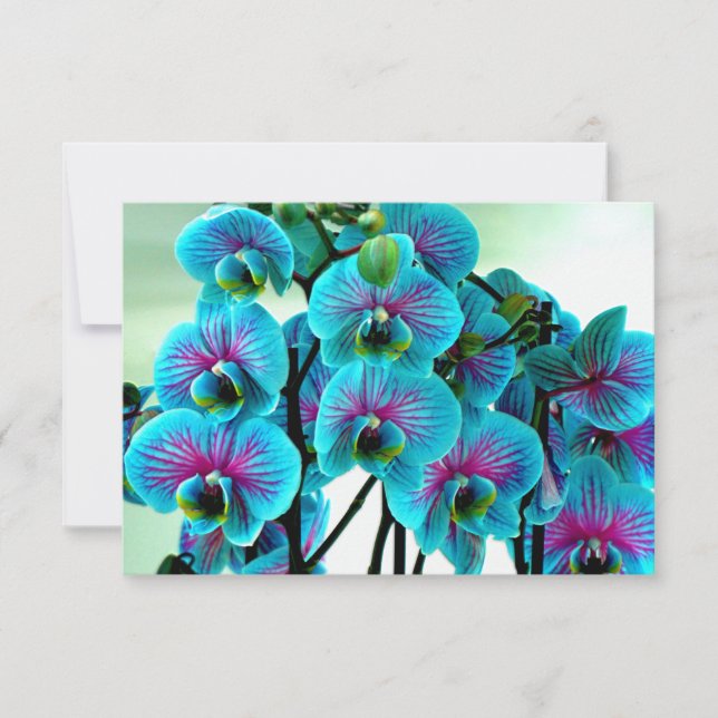 Blue Orchid Flower Bouquet Tack Kort (Framsida)